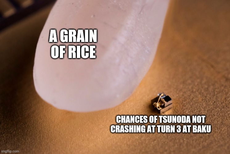 Grain Of Rice | A GRAIN OF RICE; CHANCES OF TSUNODA NOT CRASHING AT TURN 3 AT BAKU | image tagged in grain of rice | made w/ Imgflip meme maker