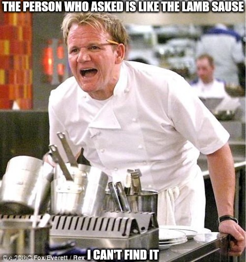Chef Gordon Ramsay | THE PERSON WHO ASKED IS LIKE THE LAMB SAUSE; I CAN'T FIND IT | image tagged in memes,chef gordon ramsay | made w/ Imgflip meme maker