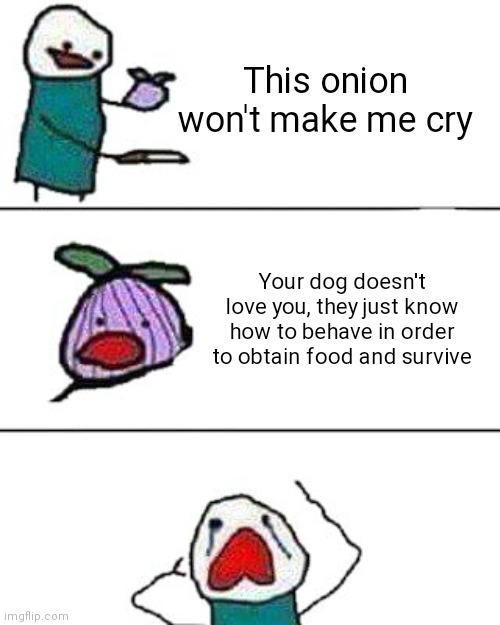 I'm not crying, you're crying | This onion won't make me cry; Your dog doesn't love you, they just know how to behave in order to obtain food and survive | image tagged in this onion won't make me cry | made w/ Imgflip meme maker