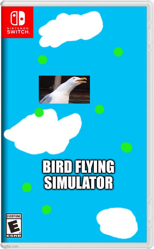 e | BIRD FLYING SIMULATOR | image tagged in nintendo switch | made w/ Imgflip meme maker