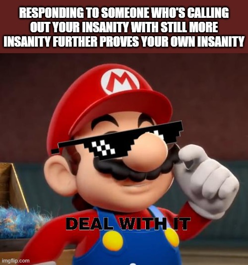 Mario Deal With It | RESPONDING TO SOMEONE WHO'S CALLING OUT YOUR INSANITY WITH STILL MORE INSANITY FURTHER PROVES YOUR OWN INSANITY | image tagged in mario deal with it | made w/ Imgflip meme maker