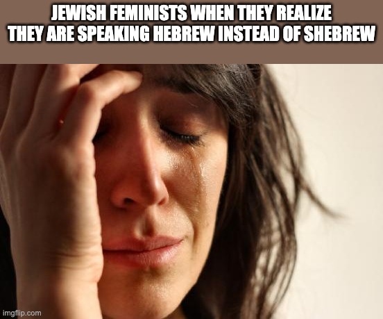 First World Problems Meme |  JEWISH FEMINISTS WHEN THEY REALIZE THEY ARE SPEAKING HEBREW INSTEAD OF SHEBREW | image tagged in memes,feminist,hebrew | made w/ Imgflip meme maker