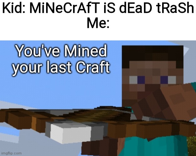 You Ve Mined Your Last Craft Imgflip