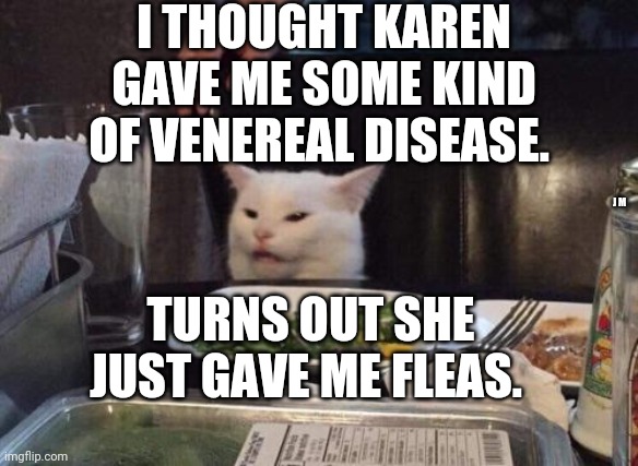 Salad cat | I THOUGHT KAREN GAVE ME SOME KIND OF VENEREAL DISEASE. J M; TURNS OUT SHE JUST GAVE ME FLEAS. | image tagged in salad cat | made w/ Imgflip meme maker