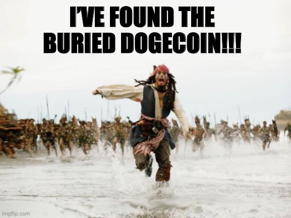 DOGECOIN | I’VE FOUND THE BURIED DOGECOIN!!! | image tagged in memes,jack sparrow being chased | made w/ Imgflip meme maker
