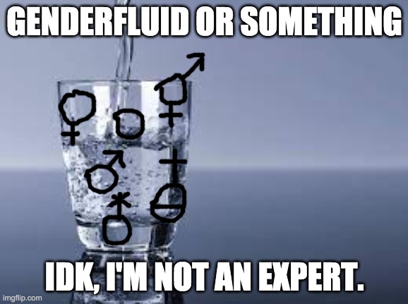 (not meant to be offensive) | GENDERFLUID OR SOMETHING; IDK, I'M NOT AN EXPERT. | made w/ Imgflip meme maker