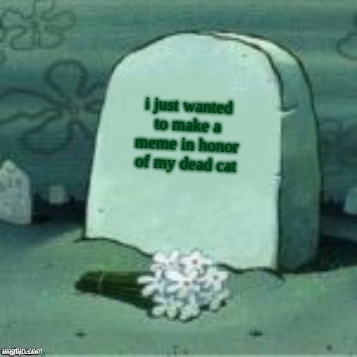 my cat died today from a car accident and i made this in honor of him | i just wanted to make a meme in honor of my dead cat | image tagged in here lies x | made w/ Imgflip meme maker