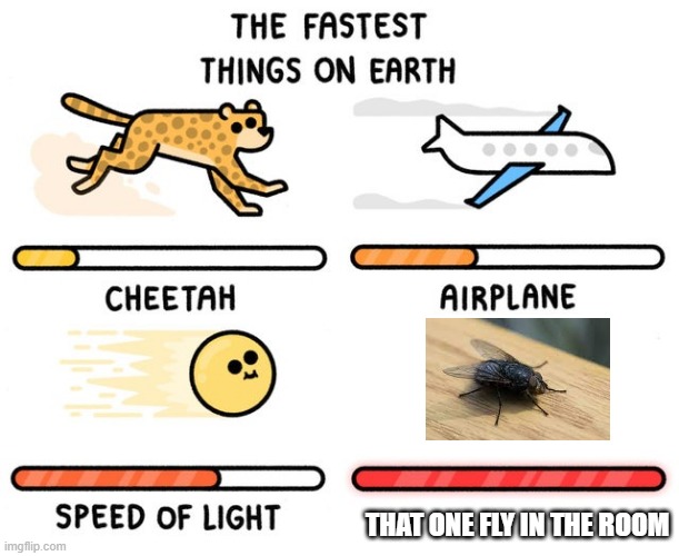 fastest thing possible | THAT ONE FLY IN THE ROOM | image tagged in fastest thing possible | made w/ Imgflip meme maker