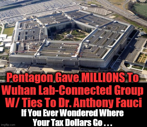 The Lab is a Plausible Source of COVID-19 Outbreak Implicating Cover-up by Communist China | Pentagon Gave MILLIONS To 
Wuhan Lab-Connected Group 
W/ Ties To Dr. Anthony Fauci; If You Ever Wondered Where 
Your Tax Dollars Go . . . | image tagged in politics,covid-19,pentagon,follow the money,made in china,dr fauci | made w/ Imgflip meme maker