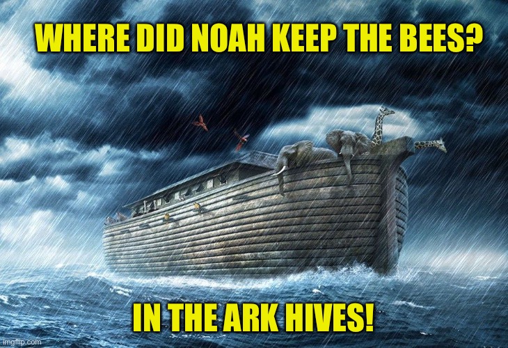 Bees | WHERE DID NOAH KEEP THE BEES? IN THE ARK HIVES! | image tagged in noah's ark | made w/ Imgflip meme maker