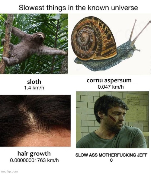 Slowest things | SLOW ASS MOTHERFUCKING JEFF
0 | image tagged in slowest things,jigsaw,memes | made w/ Imgflip meme maker