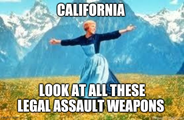 Politics and stuff | CALIFORNIA; LOOK AT ALL THESE LEGAL ASSAULT WEAPONS | image tagged in memes,look at all these | made w/ Imgflip meme maker