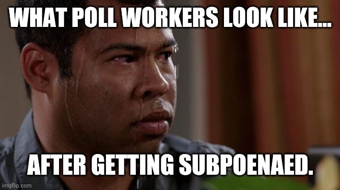 It's getting hot in Georgia. | WHAT POLL WORKERS LOOK LIKE... AFTER GETTING SUBPOENAED. | image tagged in memes | made w/ Imgflip meme maker