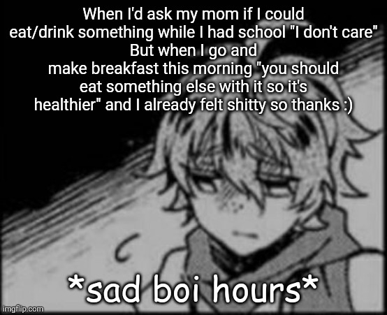 Guess I'm going back to eating once a day | When I'd ask my mom if I could eat/drink something while I had school "I don't care"
But when I go and make breakfast this morning "you should eat something else with it so it's healthier" and I already felt shitty so thanks :) | image tagged in sad boi hours | made w/ Imgflip meme maker