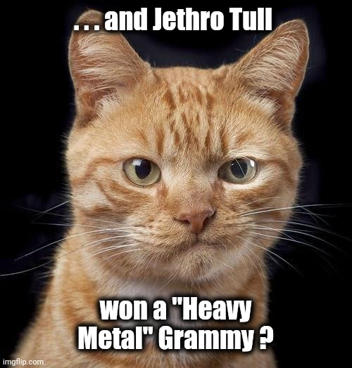 McKayla Meowroney | . . . and Jethro Tull won a "Heavy Metal" Grammy ? | image tagged in mckayla meowroney | made w/ Imgflip meme maker