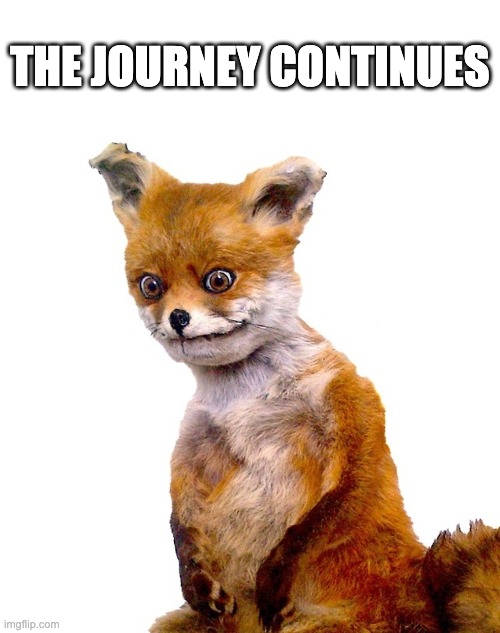 5cakkn.jpg