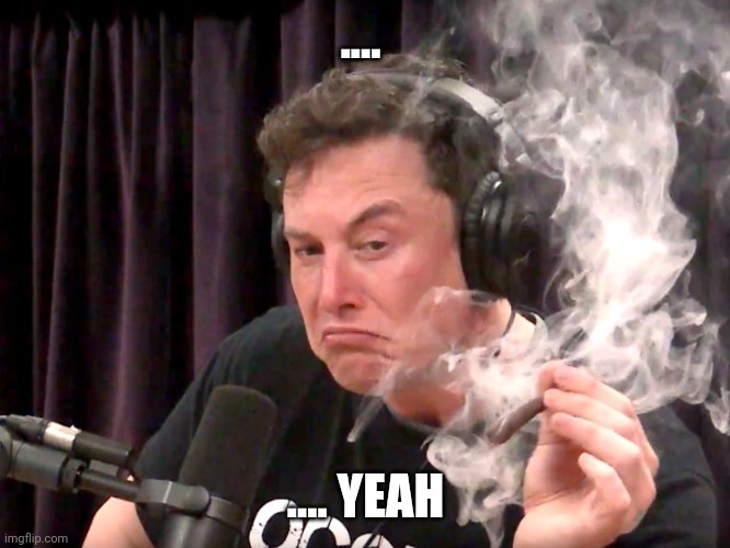 Elon Musk Weed | .... .... YEAH | image tagged in elon musk weed | made w/ Imgflip meme maker
