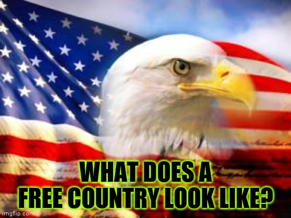 Explain it | WHAT DOES A
FREE COUNTRY LOOK LIKE? | image tagged in american flag,freedom,what is this place,you just insulted my entire race of people,song of my people | made w/ Imgflip meme maker