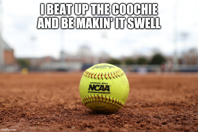 Softball Injury | I BEAT UP THE COOCHIE AND BE MAKIN' IT SWELL | image tagged in softball | made w/ Imgflip meme maker