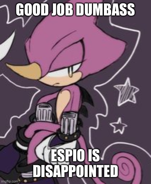 GOOD JOB DUMBASS ESPIO IS DISAPPOINTED | made w/ Imgflip meme maker