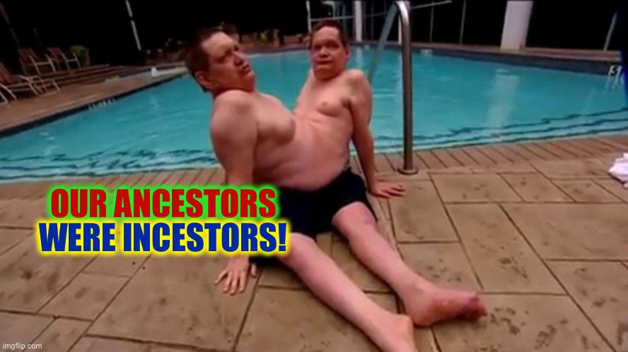 Play on words | WERE INCESTORS! OUR ANCESTORS | image tagged in ronnie and donnie,funny,memes,play on words | made w/ Imgflip meme maker