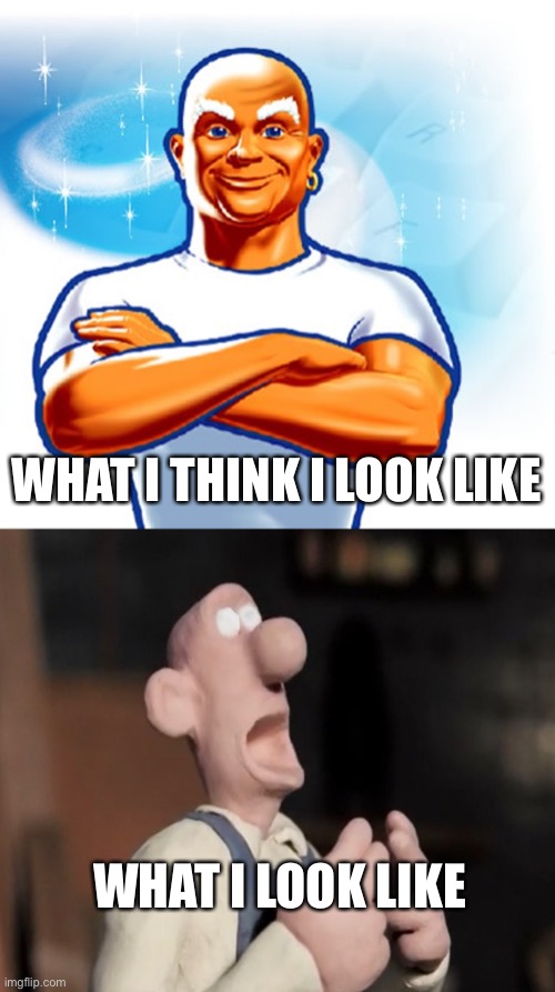 WHAT I LOOK LIKE WHAT I THINK I LOOK LIKE | image tagged in mr clean | made w/ Imgflip meme maker