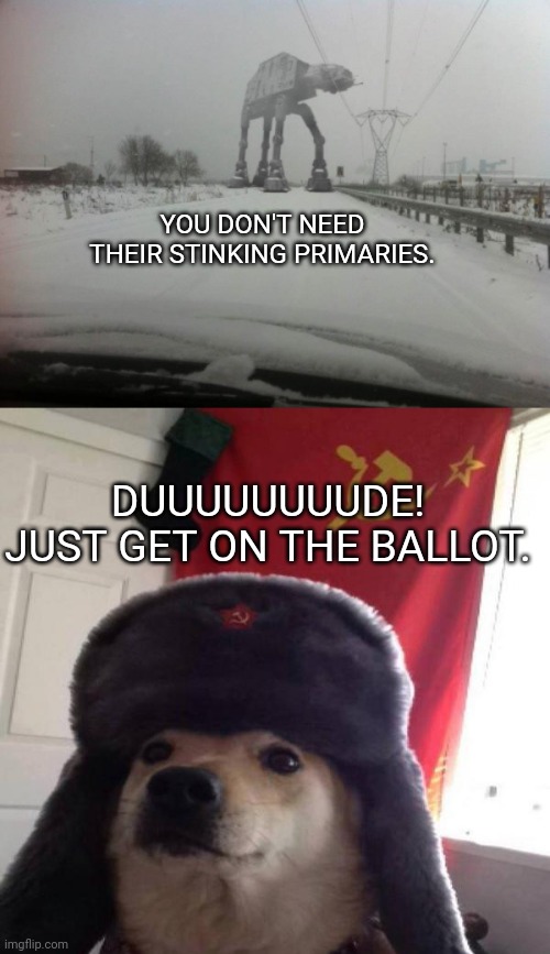 hella flexing | YOU DON'T NEED THEIR STINKING PRIMARIES. DUUUUUUUUDE!
JUST GET ON THE BALLOT. | image tagged in meanwhile in idaho,russian doge | made w/ Imgflip meme maker