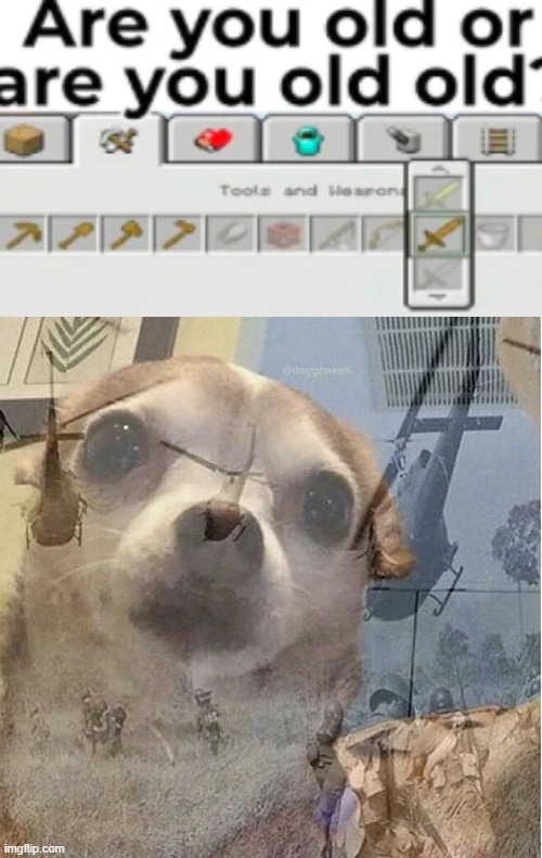 ah yes the days of 3 hr long crafting | image tagged in ptsd chihuahua | made w/ Imgflip meme maker