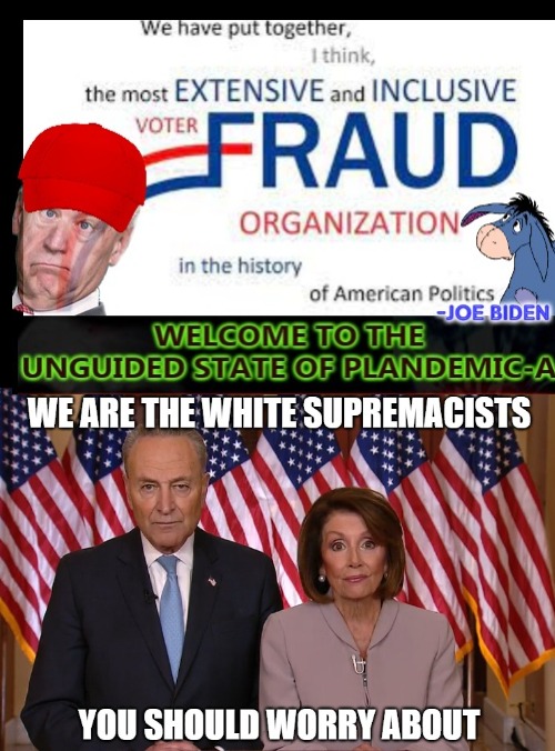 SCUM NATION UNDER FRAUD II | image tagged in scumbag,rigged elections,election fraud,corruption,embarrassing | made w/ Imgflip meme maker