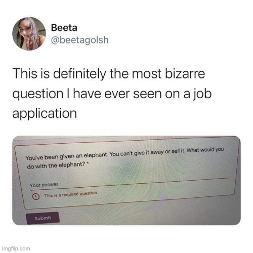 Comment down below what you would do with it. Lmao | image tagged in memes,lol,twitter,job,funny,lol so funny | made w/ Imgflip meme maker