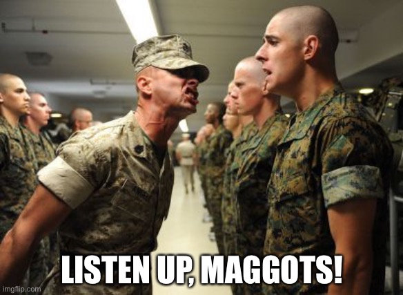 sir yes sir | LISTEN UP, MAGGOTS! | image tagged in sir yes sir | made w/ Imgflip meme maker