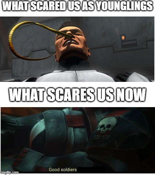 Blank White Template | WHAT SCARED US AS YOUNGLINGS; WHAT SCARES US NOW | image tagged in blank white template | made w/ Imgflip meme maker