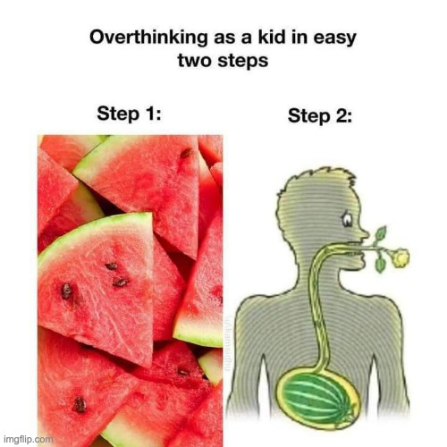 At one point in your life, you thought this was gonna happen. Don't lie | image tagged in memes,lol,funny,watermelon,lol so funny,oh wow are you actually reading these tags | made w/ Imgflip meme maker