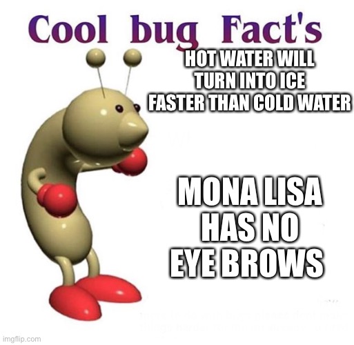 Cool bug facts that I think that made your just a little better | HOT WATER WILL TURN INTO ICE FASTER THAN COLD WATER; MONA LISA HAS NO EYE BROWS | image tagged in cool bug facts | made w/ Imgflip meme maker