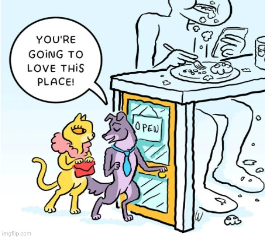 She'll love it | image tagged in cats,dogs,comics/cartoons | made w/ Imgflip meme maker