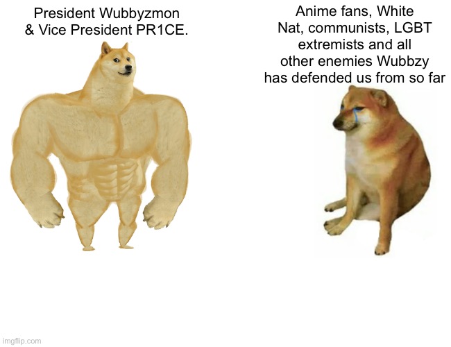 They’ve defended us from so many threats. Let’s stay safe by re-electing then, and voting me for HOC. | Anime fans, White Nat, communists, LGBT extremists and all other enemies Wubbzy has defended us from so far; President Wubbyzmon & Vice President PR1CE. | image tagged in memes,buff doge vs cheems,politics,military | made w/ Imgflip meme maker