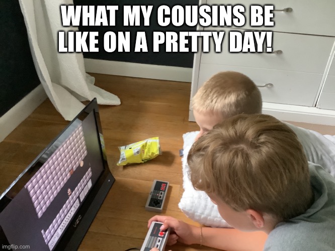 On a pretty day... | WHAT MY COUSINS BE LIKE ON A PRETTY DAY! | image tagged in crazy cousins | made w/ Imgflip meme maker