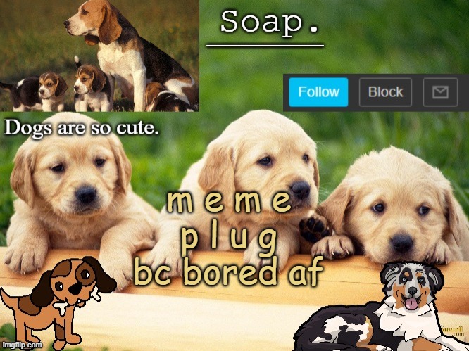 Soap doggo temp | m e m e
p l u g
bc bored af | image tagged in soap doggo temp ty yachi | made w/ Imgflip meme maker