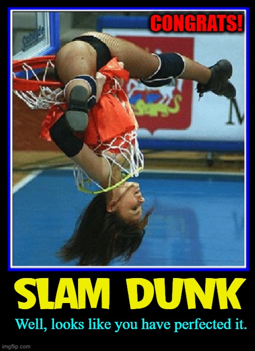 When Doing Things Wrong ROCKS! | CONGRATS! SLAM DUNK; Well, looks like you have perfected it. | image tagged in vince vance,slam dunk,perfection,upside down,basketball,memes | made w/ Imgflip meme maker