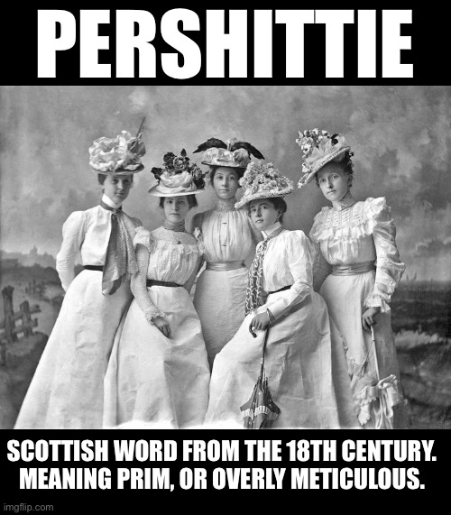 Expand your vocabulary! | PERSHITTIE; SCOTTISH WORD FROM THE 18TH CENTURY.

MEANING PRIM, OR OVERLY METICULOUS. | image tagged in funny,history | made w/ Imgflip meme maker