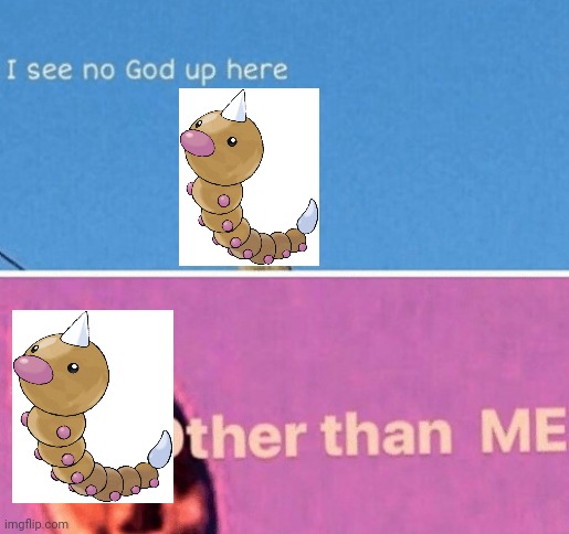 No god up here cat | image tagged in no god up here cat | made w/ Imgflip meme maker
