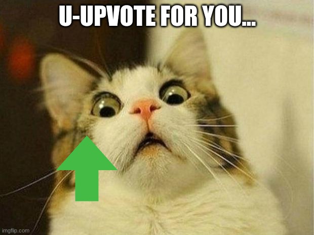 Scared Cat Meme | U-UPVOTE FOR YOU... | image tagged in memes,scared cat | made w/ Imgflip meme maker