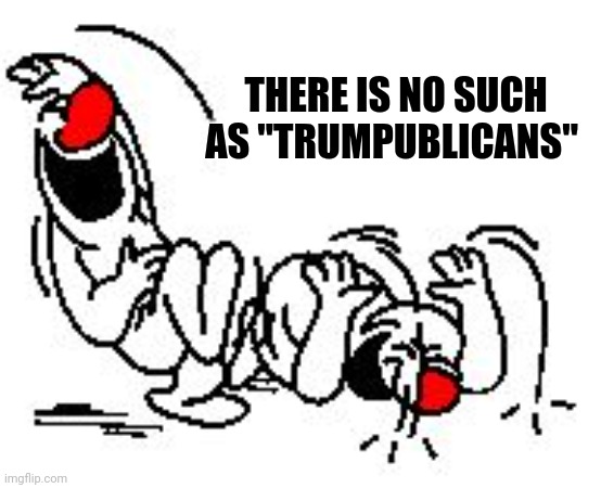 LOL Hysterically | THERE IS NO SUCH    
AS "TRUMPUBLICANS" | image tagged in lol hysterically | made w/ Imgflip meme maker