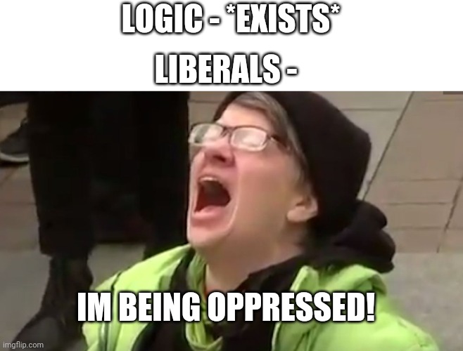 Screaming Liberal  | LOGIC - *EXISTS*; LIBERALS -; IM BEING OPPRESSED! | image tagged in screaming liberal | made w/ Imgflip meme maker