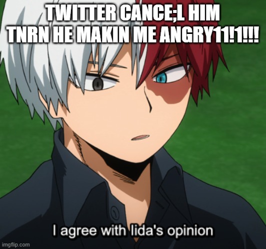 twitter | TWITTER CANCE;L HIM TNRN HE MAKIN ME ANGRY11!1!!! | image tagged in funny,mha,twitter | made w/ Imgflip meme maker