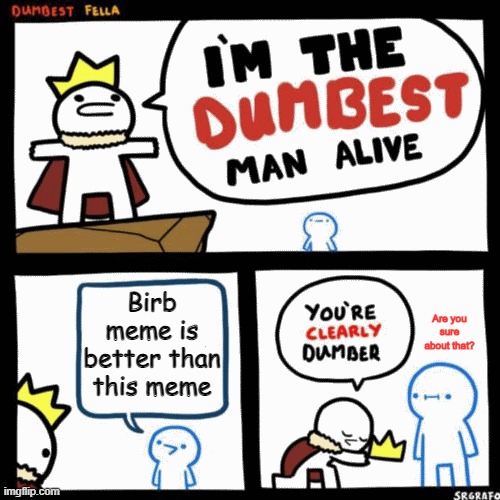 What the heck | Birb meme is better than this meme; Are you sure about that? | image tagged in i'm the dumbest man alive | made w/ Imgflip meme maker