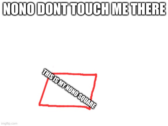 shit post | NONO DONT TOUCH ME THERE; THIS IS MY NONO SQUARE | made w/ Imgflip meme maker