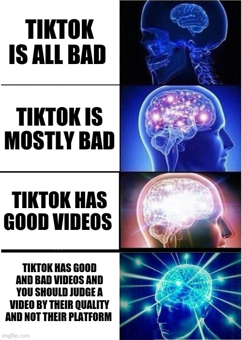 Expanding Brain Meme | TIKTOK IS ALL BAD; TIKTOK IS MOSTLY BAD; TIKTOK HAS GOOD VIDEOS; TIKTOK HAS GOOD AND BAD VIDEOS AND YOU SHOULD JUDGE A VIDEO BY THEIR QUALITY AND NOT THEIR PLATFORM | image tagged in memes,expanding brain | made w/ Imgflip meme maker