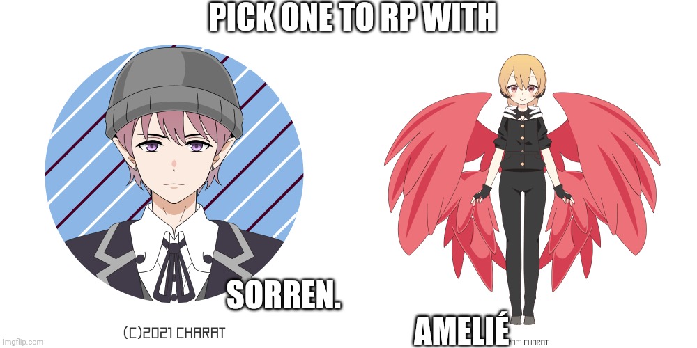 Dk | PICK ONE TO RP WITH; SORREN.                                                           AMELIÉ | image tagged in e | made w/ Imgflip meme maker