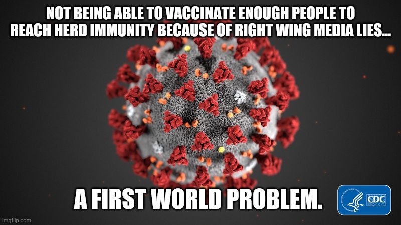 First world problems | NOT BEING ABLE TO VACCINATE ENOUGH PEOPLE TO REACH HERD IMMUNITY BECAUSE OF RIGHT WING MEDIA LIES... A FIRST WORLD PROBLEM. | image tagged in covid 19,maga,conservatives,coronavirus,republican,democrats | made w/ Imgflip meme maker